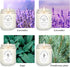 Set, 4 Pack Scented Candle Gift Soy Wax Scented Candles for Home Lavender, Sage & Ponderosa Pine Aromatherapy Candles