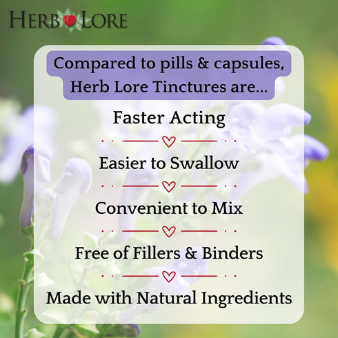 Herb Lore (2 oz) Skullcap Tincture Organic - Alcohol Free Liquid Sleep Aid and Nervous System Support with Scutellaria