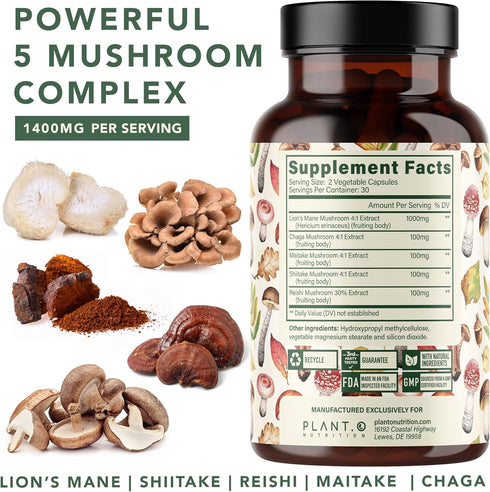 Plant.O Premium Lion's Mane Supplement, All Natural Nootropics Brain Supplement, 90 Caps