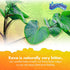 Ozia Originals Kava Kava Candy - 8 Candies Per Pack, Natural Kava Root Chill Happy Pill, Orange Flavor, 4 Packs