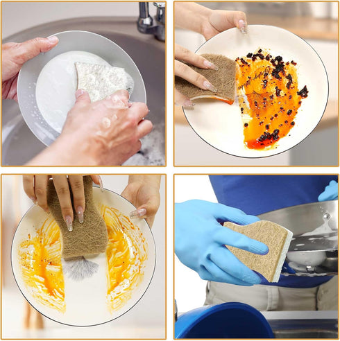 Biodegradable Natural Kitchen Sponge - 12 Pack Compostable Cellulose and Coconut Scrubber