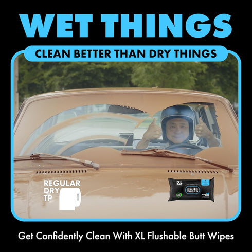 DUDE Wipes - Flushable Wipes - 1 Pack, 48 Unscented Extra-Large Adult Wet Wipes with Vitamin-E & Aloe