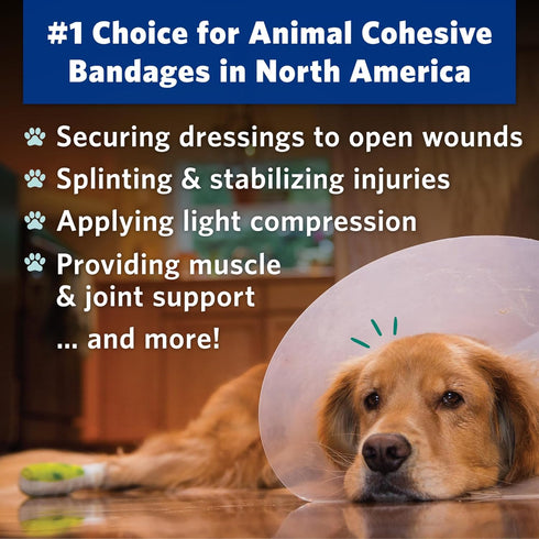 Pack 2 inch, 6 OVIK Health PetFlex Pet Flexible Self-Adhering Elastic Bandage for Wound Care First Aid Wrap for Small