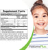 NaturesPlus Animal Parade Vitamin C Children's Chewable, Natural Orange Flavor, 90 Tablets, Pack of 4