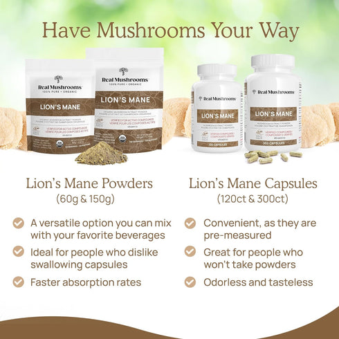 Lion’s Mane Powder - Organic Mushroom Extract with Antioxidants & Immunomodulating Properties - Vegan Supplement, 60