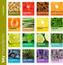 Set 100% Set 16 ArtNaturals Aromatherapy Essential Oil - Pure of the Highest Therapeutic Grade - Premium Gift (Top