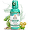 GuruNanda Mouthwash Oral Rinse, Wild Mint, 16 Fl Oz, Promotes Fresh Breath up to 24 hours, Alcohol-free, ADA Accepted