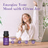 Set 6 10ml ASAKUKI Diffuser Oil Blends for Diffusers, Humidifiers, Candle Making, Aromatherapy-Breathe, Uplift