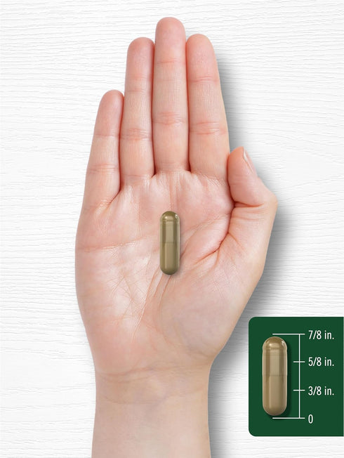 Carlyle Andrographis Paniculata Capsules | 8000 mg | 90 Count | Gluten Free & Non-GMO Supplement