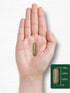 Carlyle Andrographis Paniculata Capsules | 8000 mg | 90 Count | Gluten Free & Non-GMO Supplement