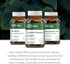 Gaia Herbs Pro Cognitive Formula, Brain Boost Supplement, 60 Vegan Liquid Phyto-Capsules