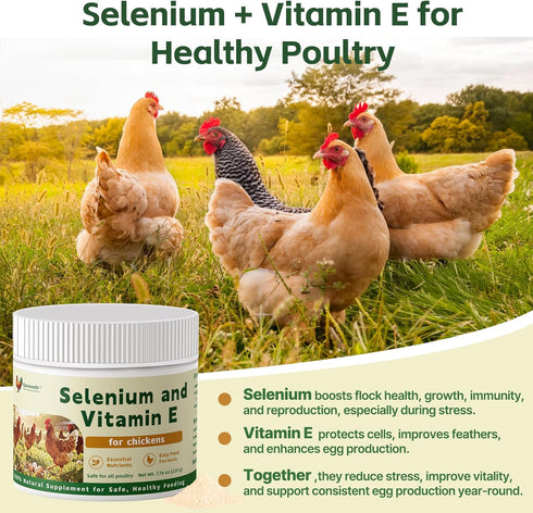 Qanoreth Immunity, Selenium and Vitamin E Powder for Chickens Boost Muscle Support & Reproductive Health, Selenium