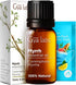 Set Set 2x0.34 oz Cinnamon Cassia & Myrrh Essential Oil - Aromatherapy Grade Essential Oils - fl - Gya Labs