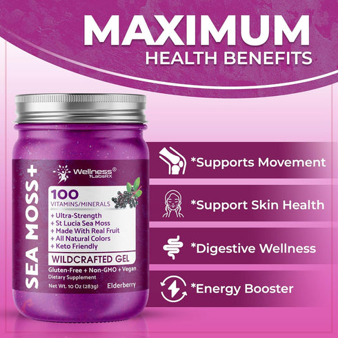 Immune 10 oz. WELLNESS LABSRX Irish Sea Moss Gel Raw - Wildcrafted Superfood Seamoss Gel - Elderberry Flavor, Vitamin
