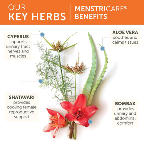 Himalaya MenstriCare, 30 Day Supply - Supports PMS, Menstrual Cramp Relief, and Hormone Balance for Women - Vegan,