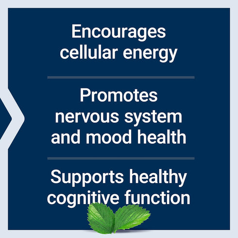 Life Extension Acetyl-L-Carnitine, 100 Capsules | Brain, Mood & Nerve Health, Cellular Energy, Gluten-Free, Non-GMO