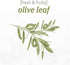 Grab Green Stoneworks Laundry Detergent Pods, Olive Leaf, 50 Count (Pack of 1)