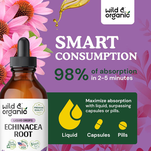 Echinacea Drops - Organic Tincture, Echinacea Root Supplement, Vegan, Alcohol Free - 2 fl oz