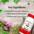 Dr. Christopher's Blood Stream Formula, Supplement for Blood Circulation and Vein Elasticity