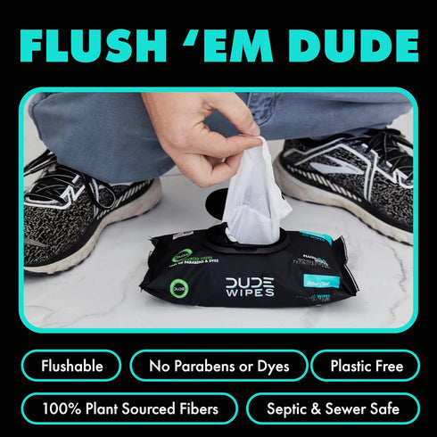 DUDE Wipes - Flushable Wipes - 6 Pack, 288 Wipes - Mint Chill Extra-Large Adult Wet Wipes