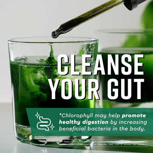 360 Nutrition Matcha Chlorophyll Liquid Drops - Gluten Free & Vegan Supplement for Gut Health, 60 Servings