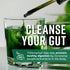 360 Nutrition Matcha Chlorophyll Liquid Drops - Gluten Free & Vegan Supplement for Gut Health, 60 Servings