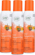 Citrus Magic Limited Edition Natural Odor Eliminating Air Freshener Spray, Cozy Pumpkin Chai, 3-Ounce (Pack of 3)