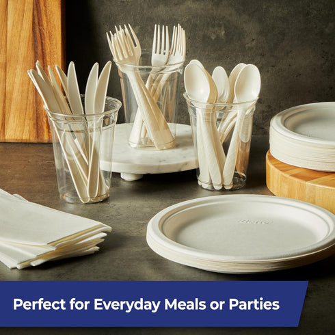 Set, 8 8 8 24 Count Hefty ECOSAVE Compostable Assorted Cutlery Utensils for BBQs, Tailgates, Camping, Parties