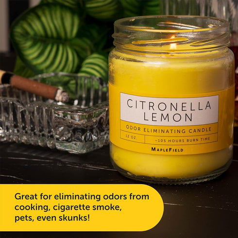 Odor Eliminating Candle, Air Freshener for Cooking, Cigarette Smoke, Pet Odors, 105 Hour Burn Time, 12 OZ