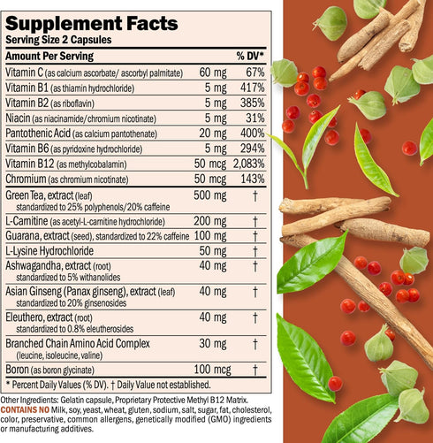 Andrew Lessman Energy & Fat Metabolism Factors 30 Capsules - Promotes Fat Burning Energy Metabolism