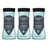 Summers Eve Active Daily Performance All Over Feminine Body Wash, Feminine Wash
