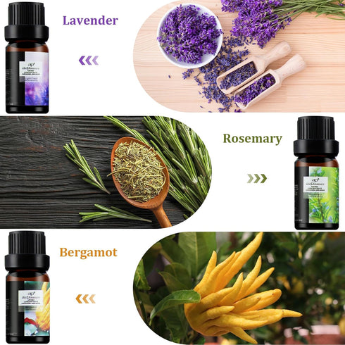 Fresh Essential Oils Set, 6x10ml Aromatherapy Oil Gift Kit for Diffuser, Fragrance, Humidifiers, Air Purifier