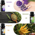 Fresh Essential Oils Set, 6x10ml Aromatherapy Oil Gift Kit for Diffuser, Fragrance, Humidifiers, Air Purifier