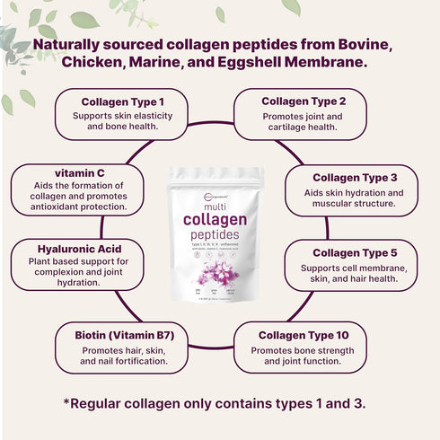 Micro Ingredients Multi Collagen Protein Powder, 2 Pounds, Unflavored, Keto & Paleo Friendly