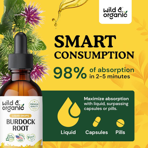 Burdock Root Tincture - Alcohol-Free Digestive Health Supplement w/Burdock Root Extract - 2oz Antioxidant