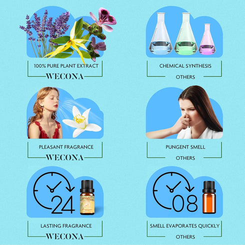 Summer Essential Oils Set - Pure Plant Extract Blends, 6x10ml with Bottle Opener for Diffusers and Soap Making