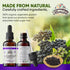 Organic Black Elderberry Extract Syrup for Immune Support, Non-GMO in Cold-Pressed Vegetable Glycerin, 2 Fl Oz