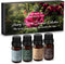 Scent Aura IV Diffuser Oil Set of 4 - Luxury Hotel & Designer Collection Diffuser