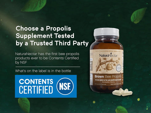 NaturaNectar Brown Bee Propolis, NSF Contents Certified, Premium Brazilian Propolis, Gluten-Free Supplement, 60pcs