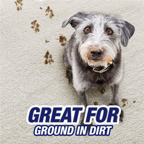 Resolve Pet Expert High Traffic Area Carpet Foam, 22 oz (Pack of 5)