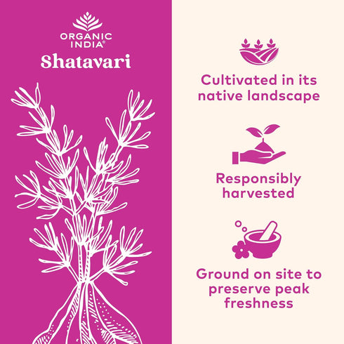 Immune 60 ORGANIC INDIA Shatavari Capsules - Herbal Supplement, Supports Hormonal Balance & System, Vegan, Gluten-Free