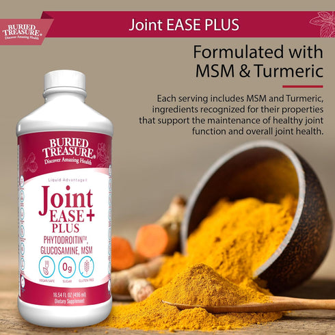 Buried Treasure Joint Ease Plus - 16 fl oz, Glucosamine Chondroitin with MSM and Turmeric for Joint Support