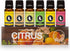 Eternal Essence Oils Citrus Set of 6 Premium Fragrance Oils - Lemon