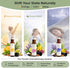 Yuganify Set (3 Pack) Essential Oil Roll On Sleep, Stress Relief & Revive Aromatherapy Rollers Pre-Diluted Travel Size