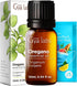 Set Set 2x0.34 oz Tea Tree Oil for Skin & Oregano Oil Essential Oil for Skin - Aromatherapy Grade Essential Oils - fl