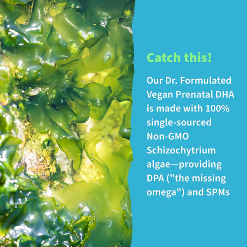 Garden of Life Dr. Formulated Prenatal Vegan DHA, 30 Softgels - Certified Vegan Omega 3 Supplement with 400mg DHA