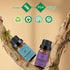 Organic Lavender Eucalyptus Essential Oil - Pure Plant Oil for Diffusers & Skin Care