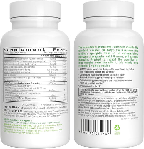 Advanced Ashwagandha KSM-66, L-Theanine & Magnesium - 60 Vegan Capsules, Multi Action Adaptogen Complex for Stress