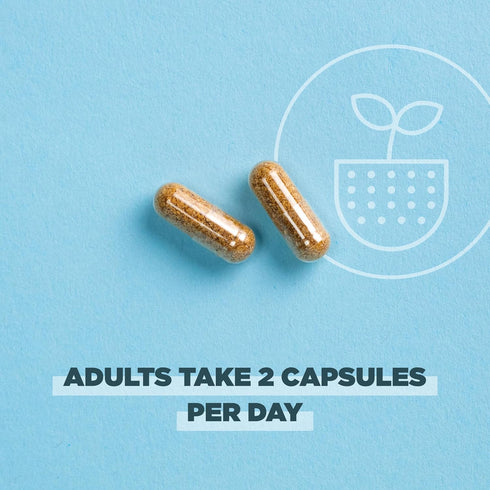 Ancient Nutrition Regenerative Organic Certified Probiotics, Extra Strength for Healthy Digestion and Immune Support,