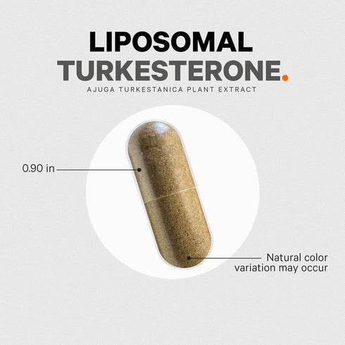 Codeage Turkesterone Supplement, 4-Month Supply, Liposomal Delivery, Vegan, Gluten-Free, Non-GMO - 120 Capsules